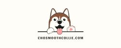 Chosmoothcollie.com